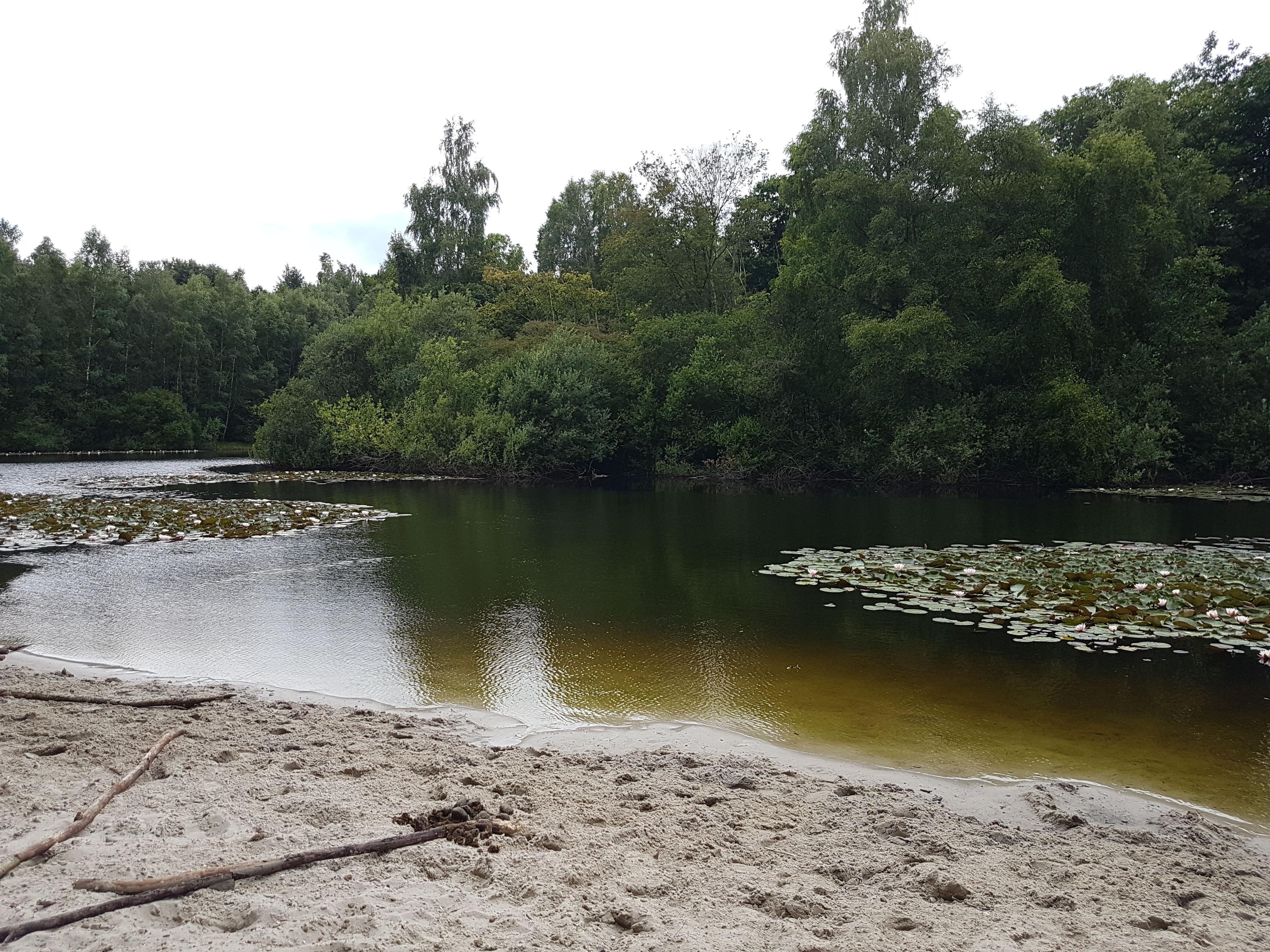 Seerosenteich | © AK "Stadt & Natur erleben" Stadtmarketing Lehrte