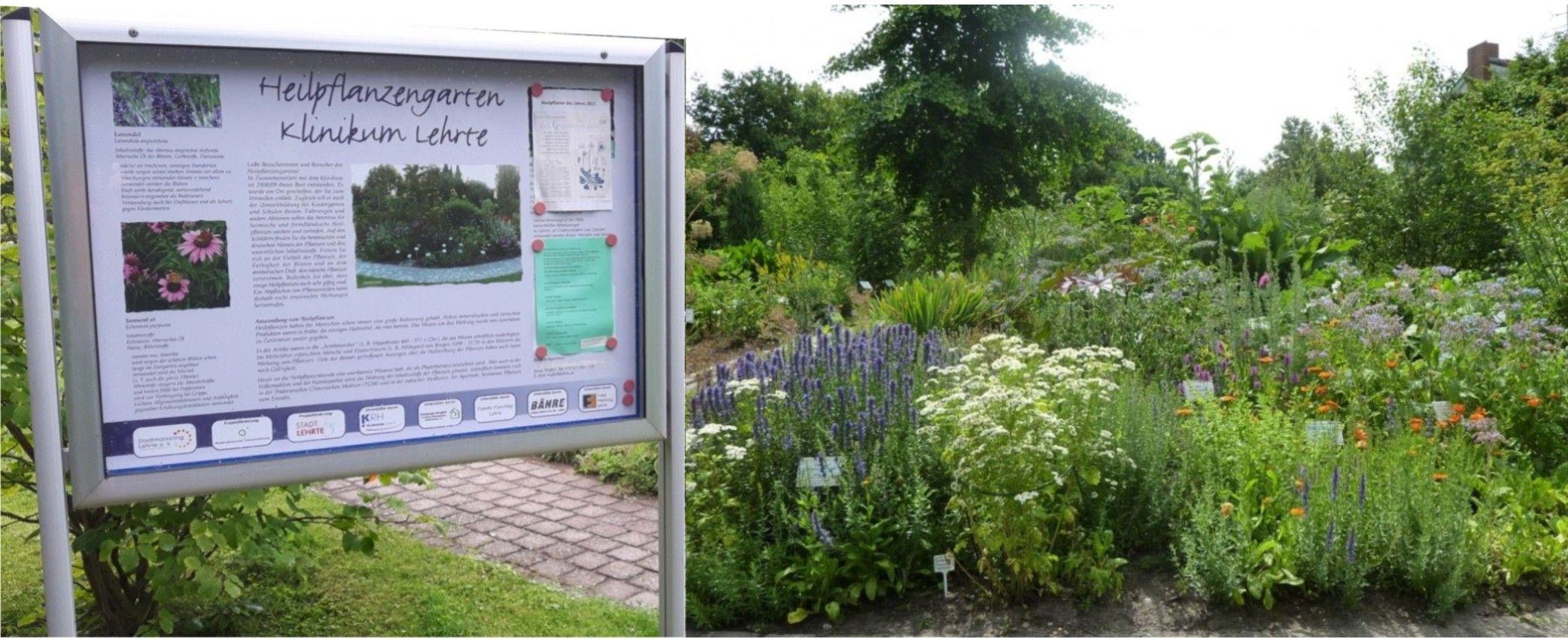 Heilpflanzengarten | © AK "Stadt & Natur erleben" Stadtmarketing Lehrte