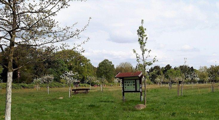 Infotafel an der Streuobstwiese | © AK "Stadt & Natur erleben" Stadtmarketing Lehrte