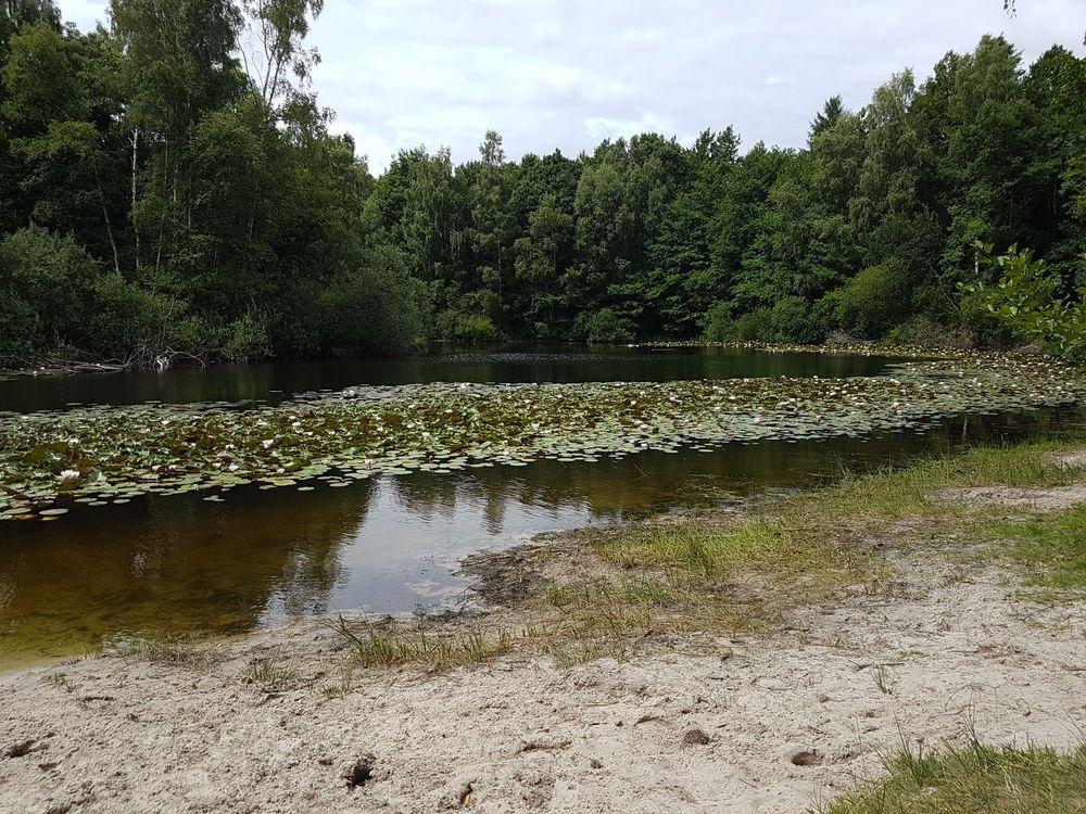 Beitragbild