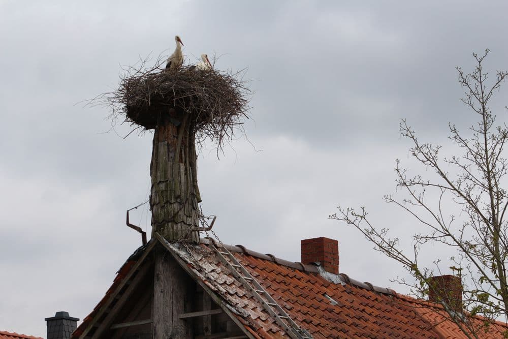 Beitragbild