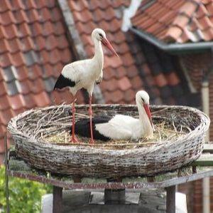 Beitragbild