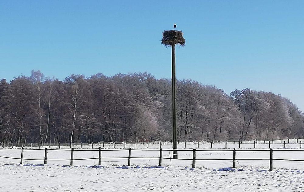 Beitragbild